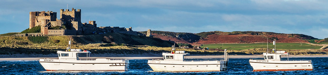 farne panorama
